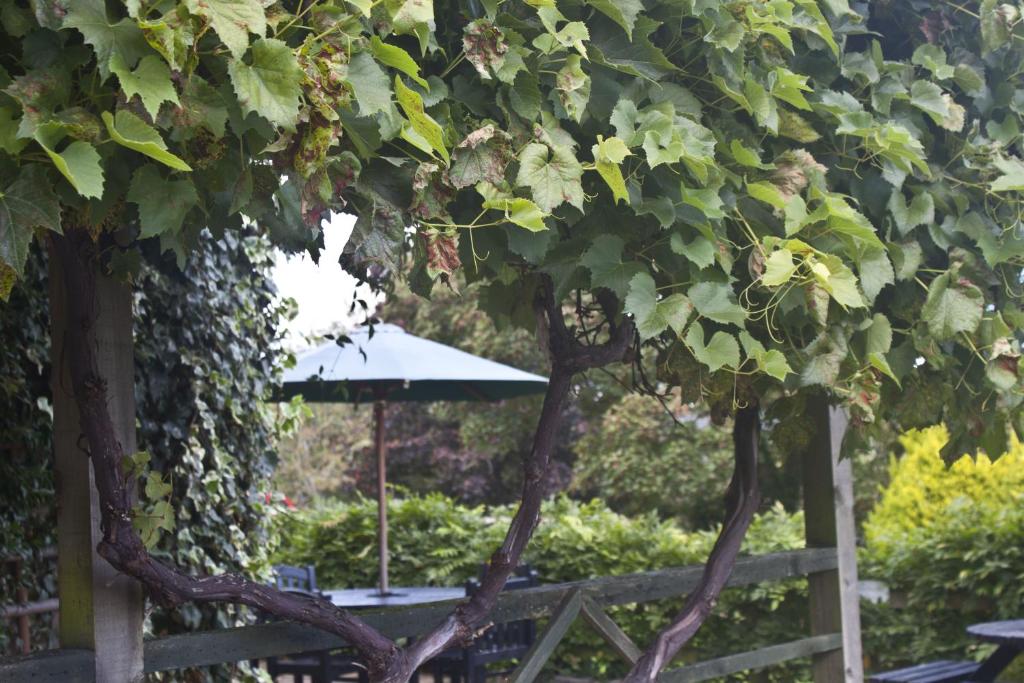 Best Western Limpley Stoke Hotel - Resim 44