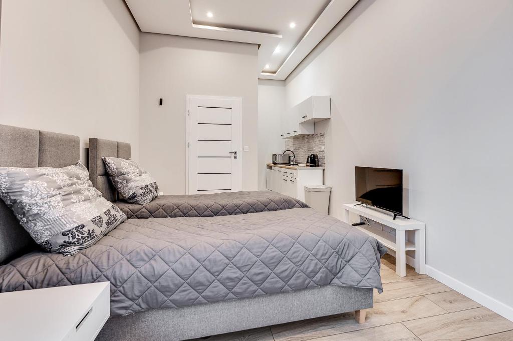 sypialnia z łóżkiem i kanapą oraz kuchnia w obiekcie Central Platinum Apartments 27 w Rybniku