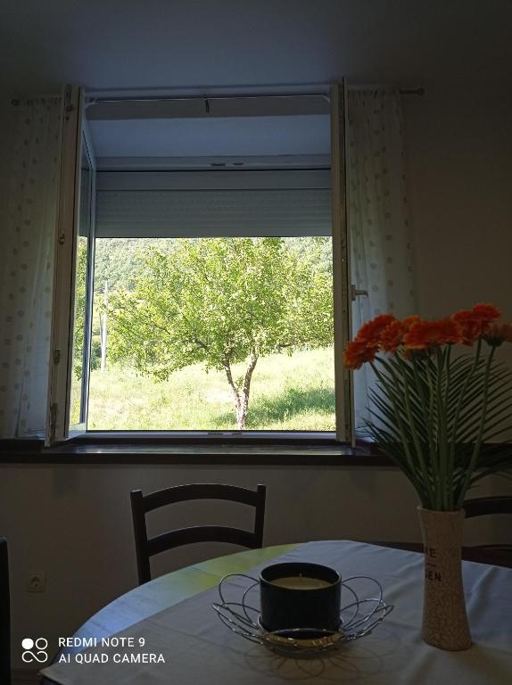Fotografia z galérie ubytovania Studio apartman Sonja v destinácii Otočac