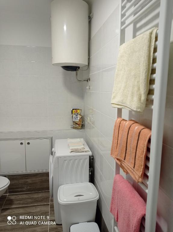Kúpeľňa v ubytovaní Studio apartman Sonja