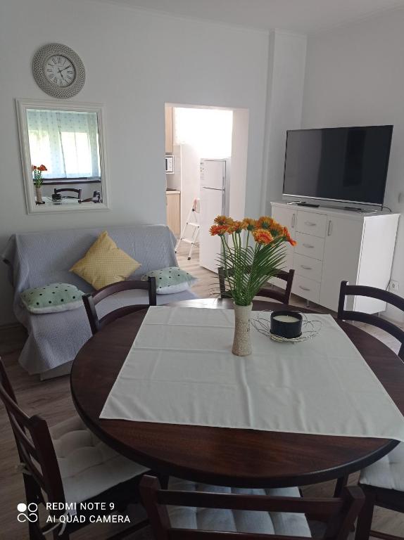Televízia a/alebo spoločenská miestnosť v ubytovaní Studio apartman Sonja