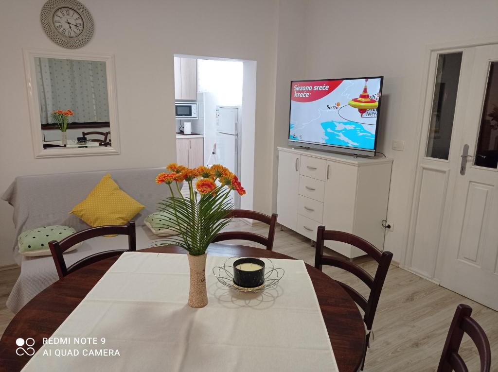 Televízia a/alebo spoločenská miestnosť v ubytovaní Studio apartman Sonja