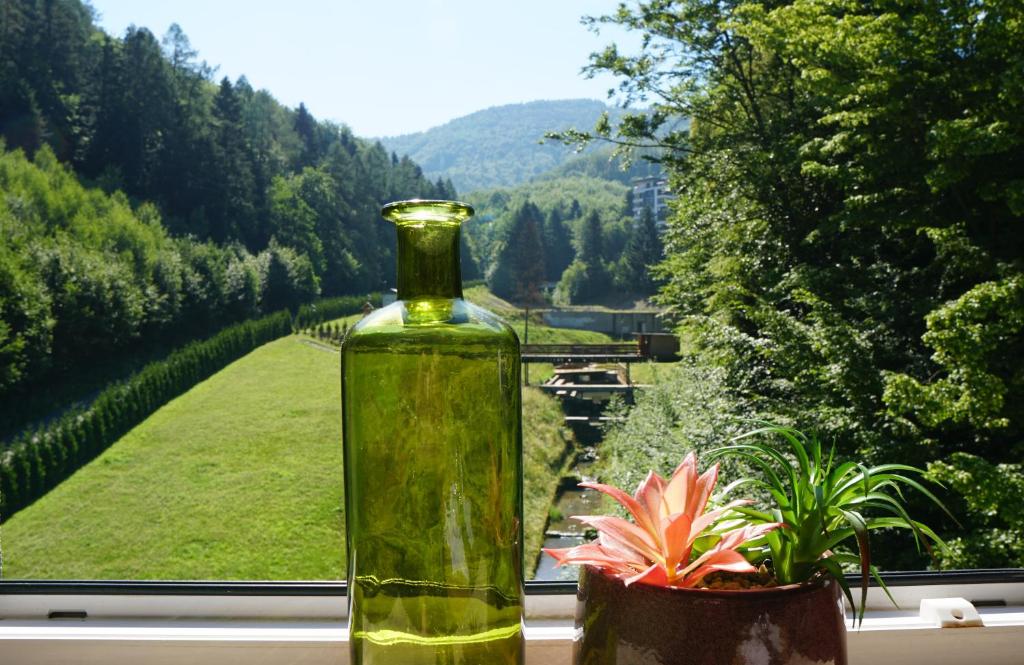 eine grüne Flasche auf einer Fensterscheibe mit einer Pflanze in der Unterkunft Czarodziejska Góra Kozubnik Daglezja in Porąbka