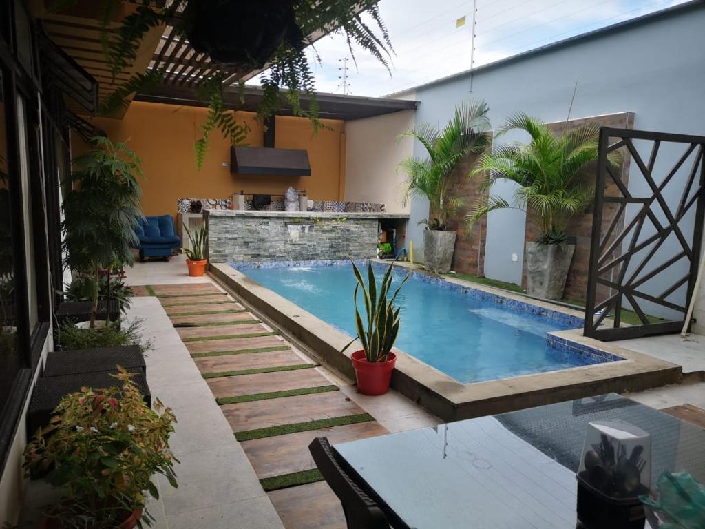ein Schwimmbad in der Mitte eines Gartens in der Unterkunft Casa amazilia in Leticia