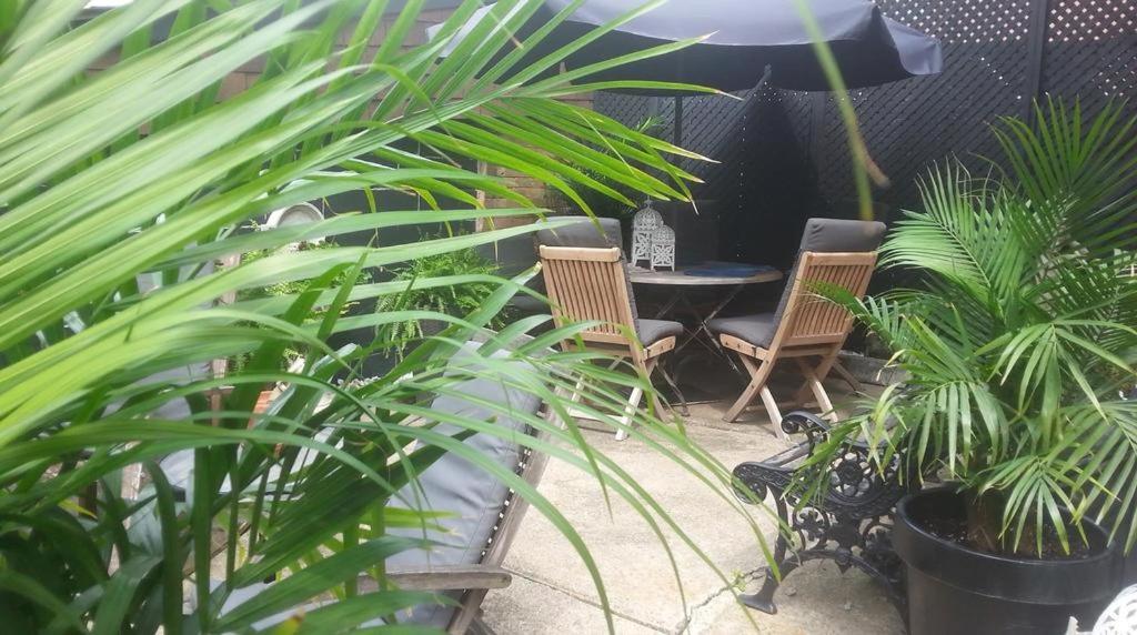 GREY GARDENS HAMILTON Instant Hotel & Guest House - Housity