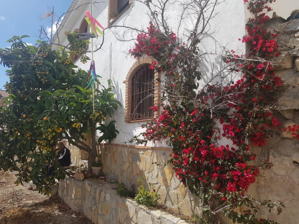 las palomas, Tózar – Updated 2022 Prices