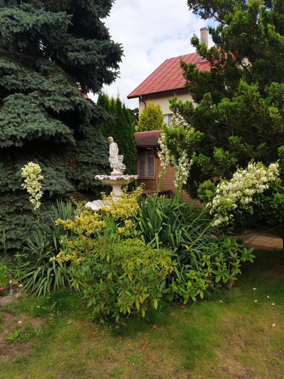 Vonkajšia záhrada v ubytovaní Villa Bajka