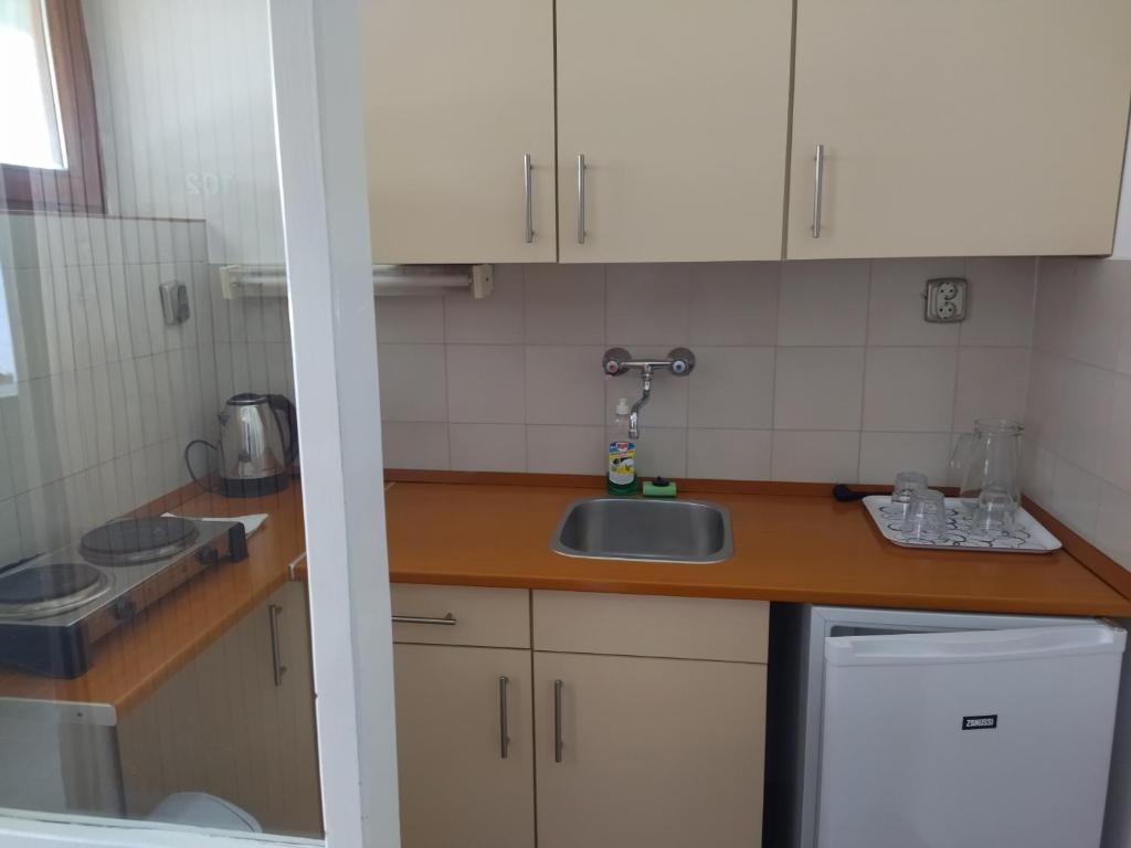 Köök või kööginurk majutusasutuses Viking Hotel
