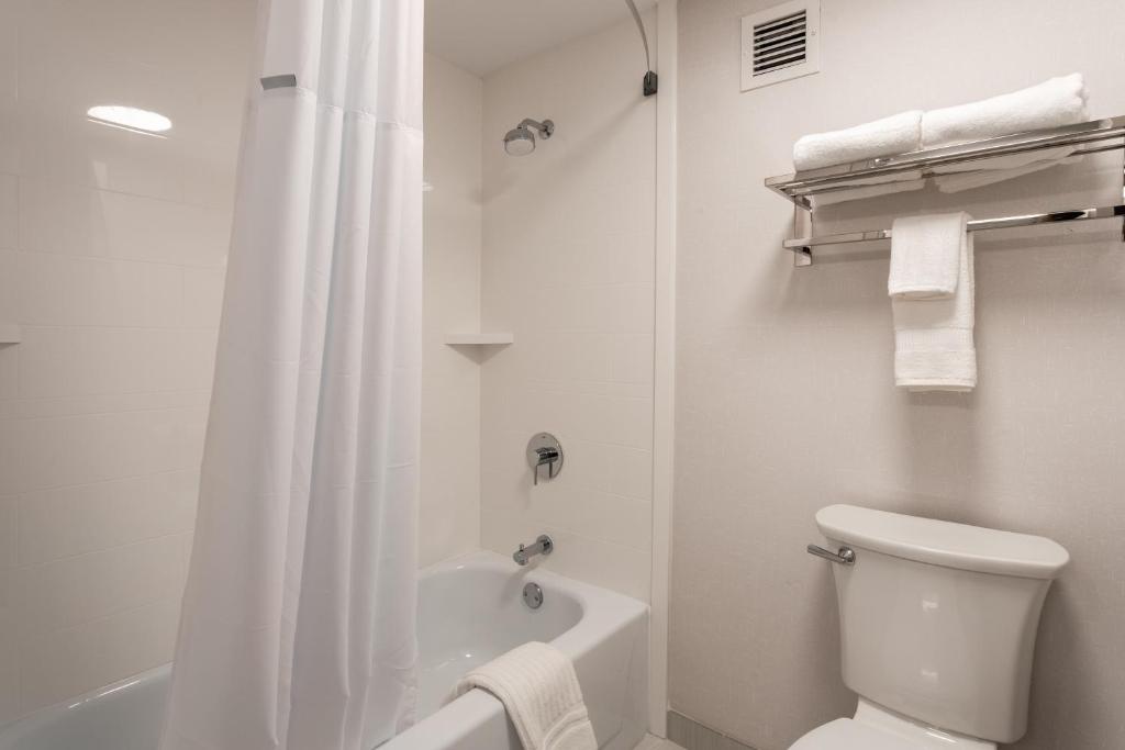 Comfort Inn & Suites Buffalo Airport - Standard Queen Room - Nicht Rauchen