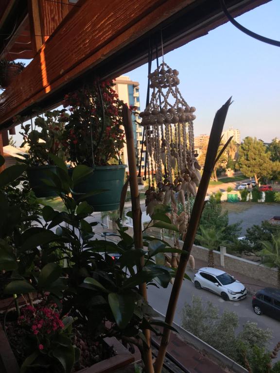 Fotografie z fotogalerie ubytování Orange Garden v destinaci Antalya