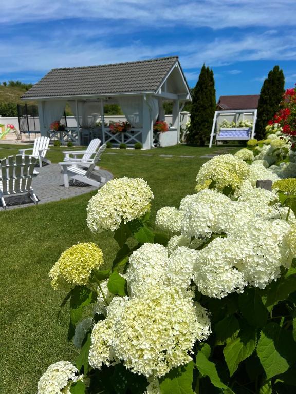 Zahrada ubytování Krystal Boutique Mansion