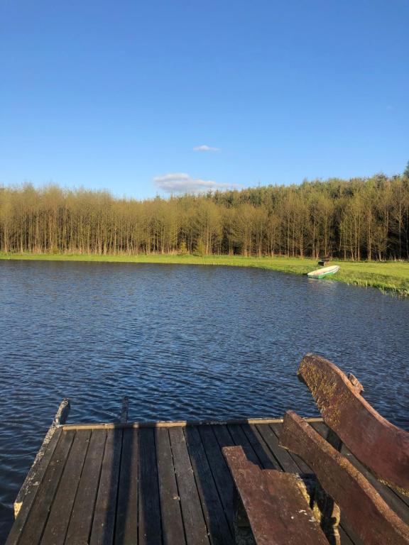 Fotografia z galérie ubytovania Dom Wędkarza - Chata Wędkarza v destinácii Sobiechy