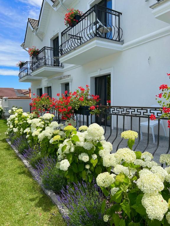 Zahrada ubytování Krystal Boutique Mansion