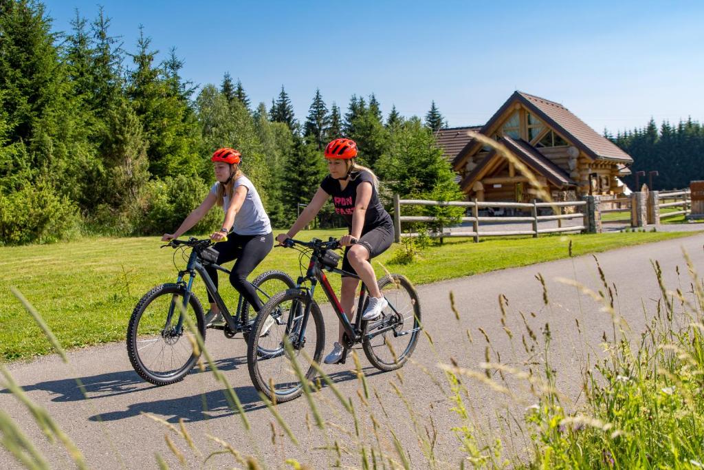 Jízda na kole v ubytování KRALJICA ŠUME - Divjake Log Home nebo okolí