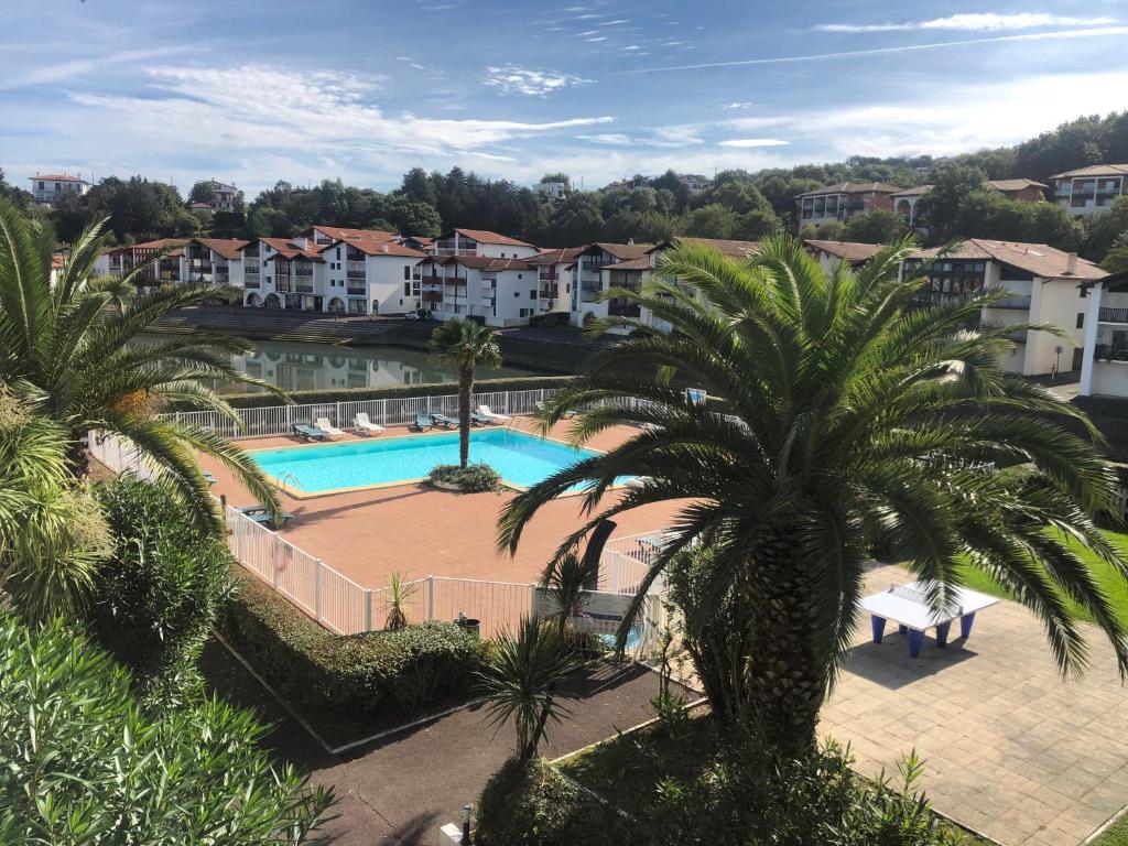 an aerial view of a swimming pool with palm trees at Charmant 2 pièces proche de la plage de Socoa in Urrugne
