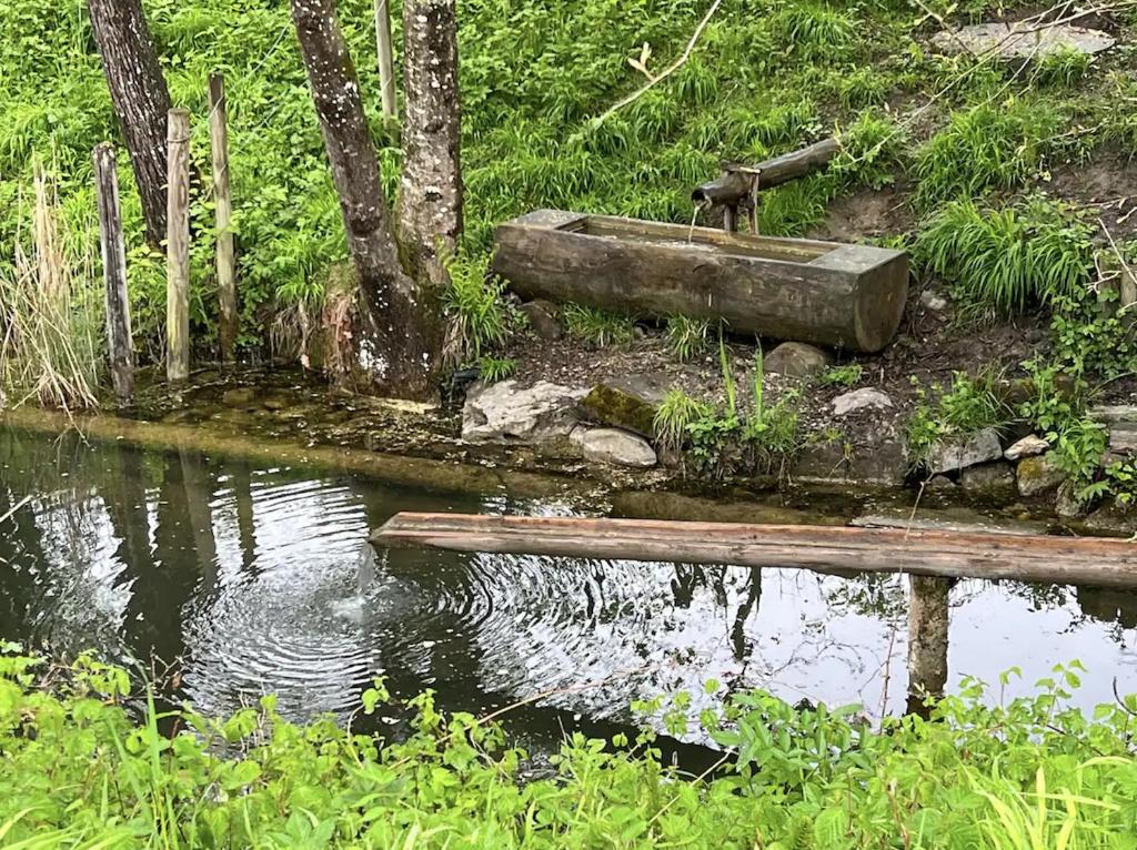 Gasthof - Auszeit im Bad Diezlings - Adults only - 6