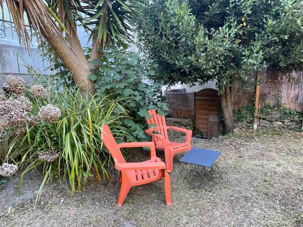 Ogród w obiekcie Le Patio, coeur de ville avec garage et jardin