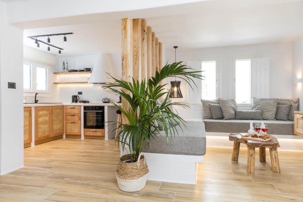 una cucina e un soggiorno con una pianta in vaso di Naxian Icon Luxury Residence 3 a Naxos Chora