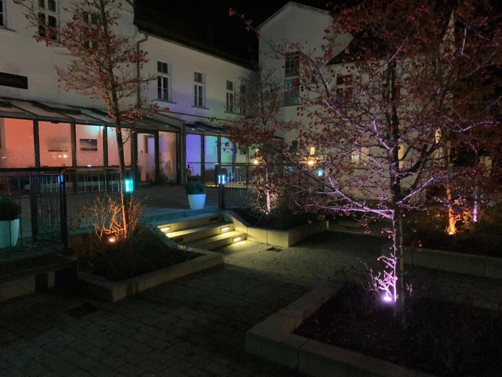 Zahrada ubytování Hotel am Theater