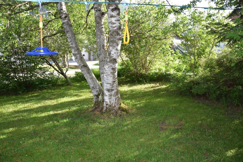 A garden outside Försterhaus