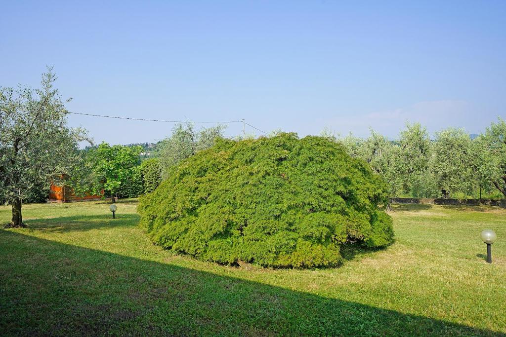 Zdjęcie z galerii obiektu Villa Tamara - Gardagate w mieście San Felice del Benaco