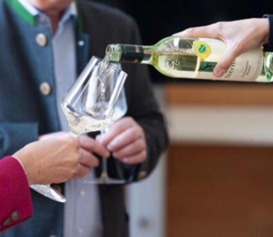 Nápoje v ubytování Weingut Sternat vlg. Schmalzpeter