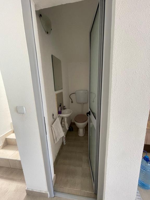 Koupelna v ubytování Apartman Ail 2