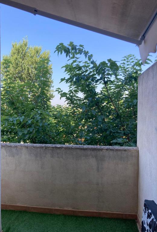 Zahrada ubytování APARTAMENTO PINAPLAYA