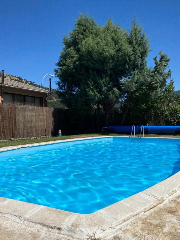 a large blue swimming pool in a yard at La Finca de Aurora in San Rafael