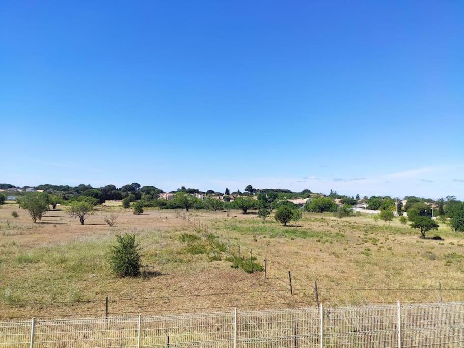 Příroda nedaleko apartmánu