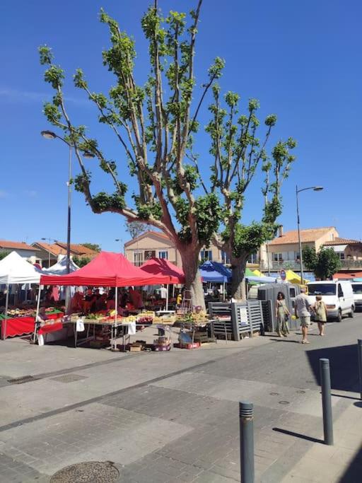 Fotografie z fotogalerie ubytování Harmonie du sud v destinaci Le Grau-dʼAgde