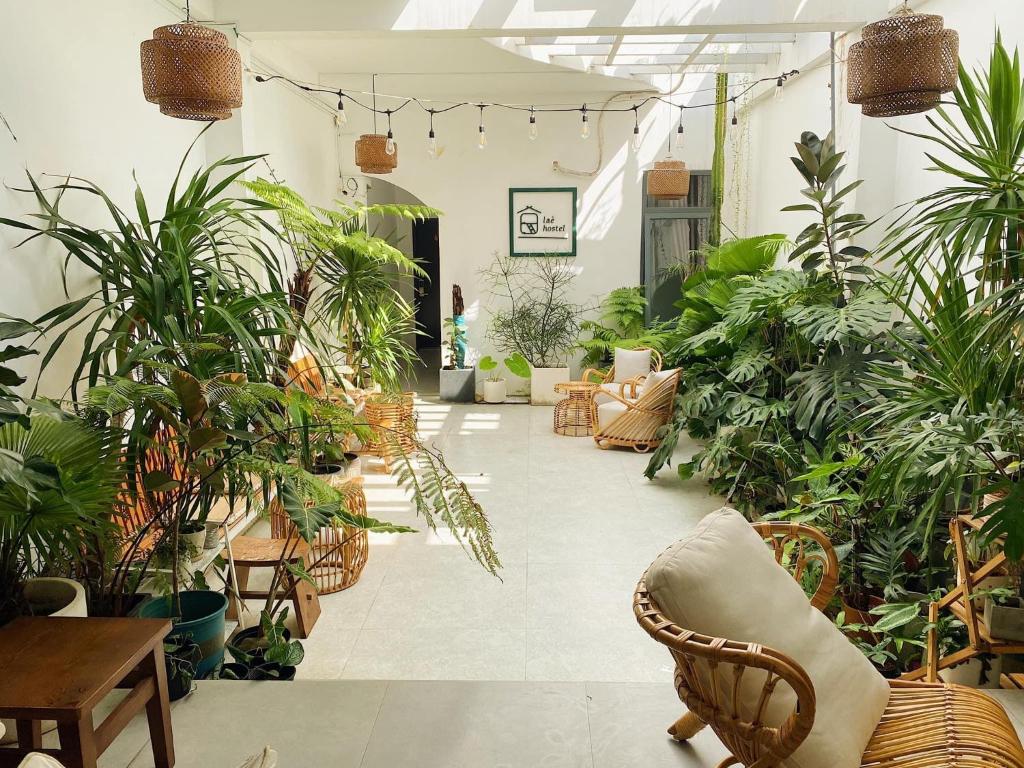 綏和的住宿－Laé Hostel，充满植物的房间
