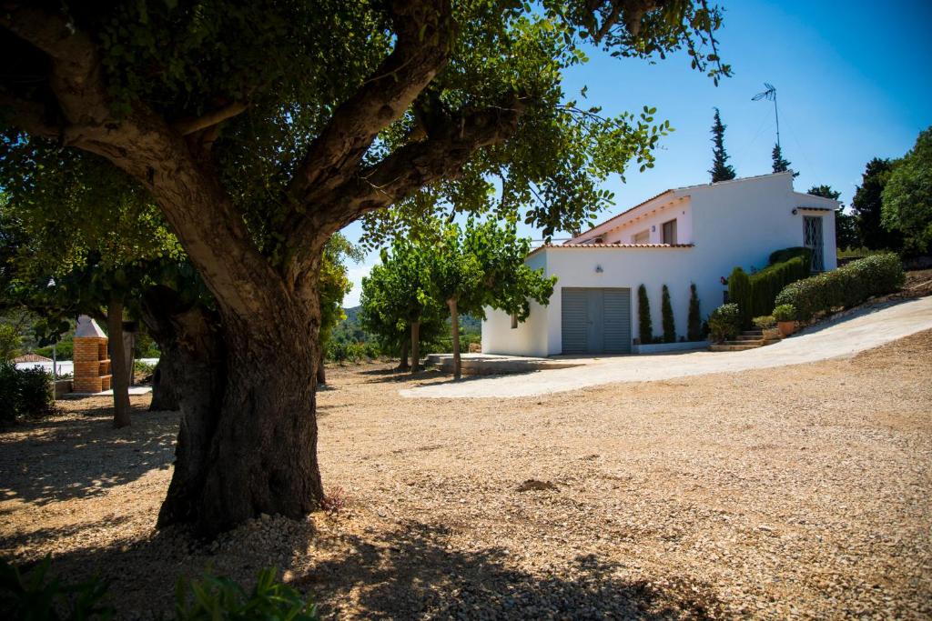 a tree in front of a house with a building at La Casa del Monte in Les Cases d'Alcanar
