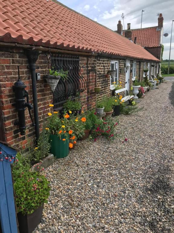 a row of houses with flowers and plants at Yarm Cottages The Byre Sleeping 4 Next to Fox Covert Pub in Kirk Leavington