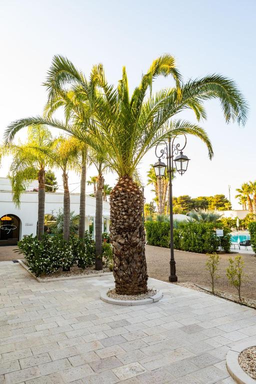 Giardino di Giardino Dei Pini - Boutique Hotel