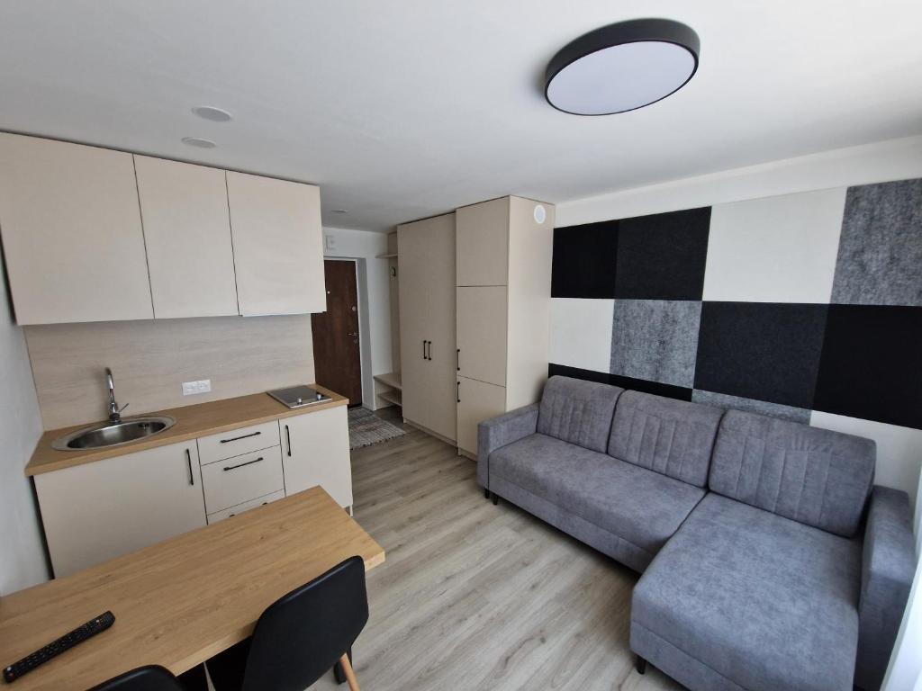 ein Wohnzimmer mit einem Sofa und einem Tisch in der Unterkunft New cosy Karklu Apartment in Klaipeda in Klaipėda