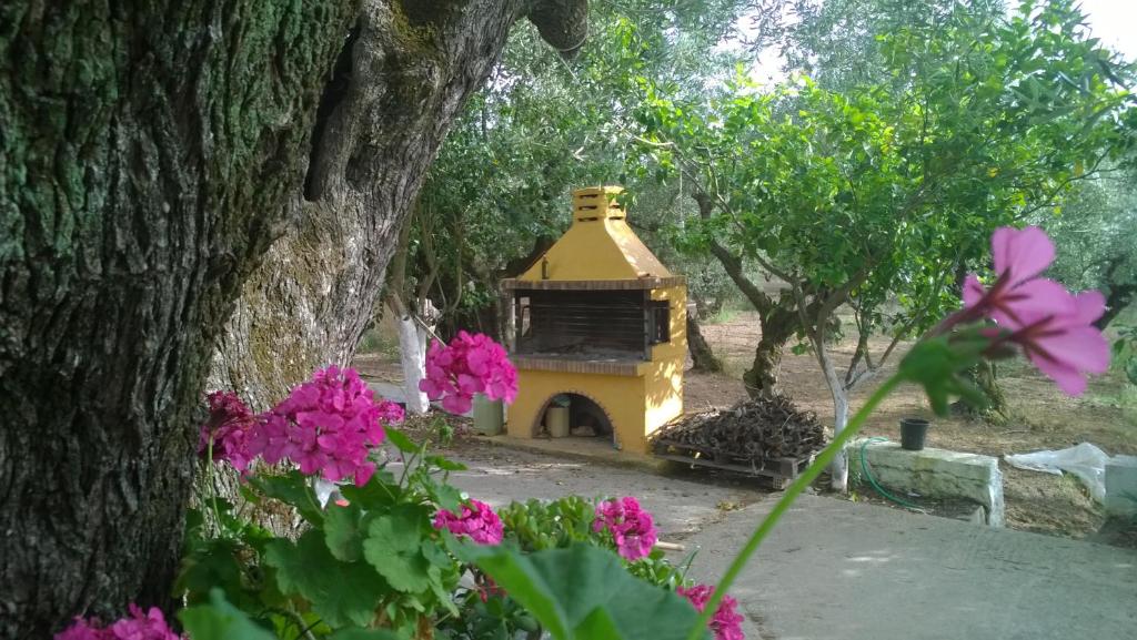Zahrada ubytování Casa Dyonisia Tsilivi