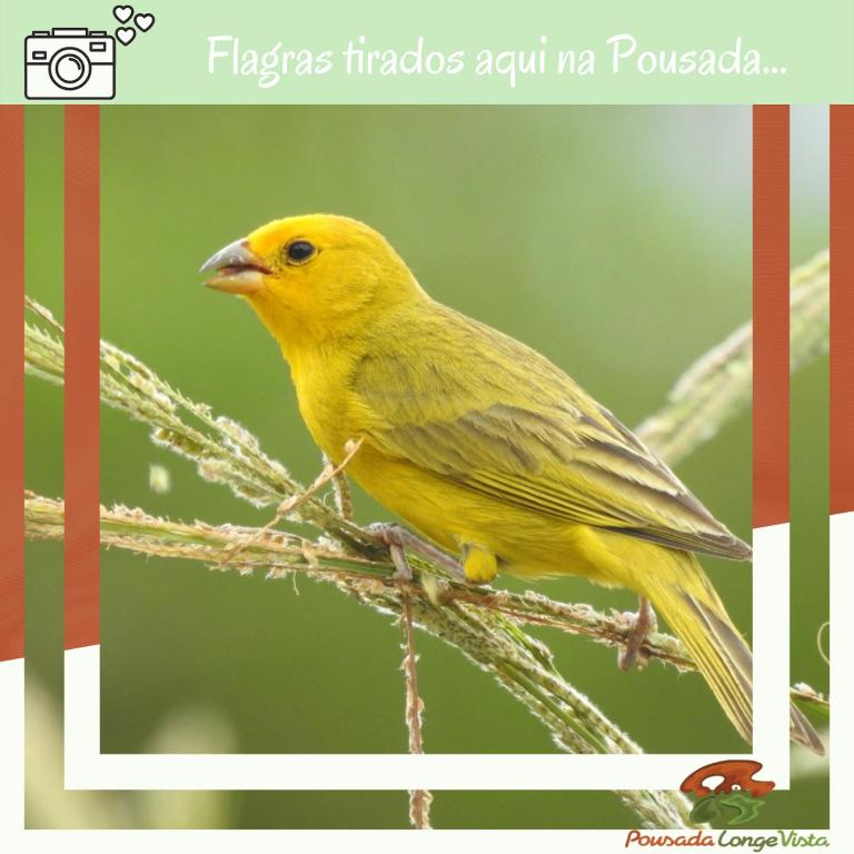 Zvířata v penzionu – hostince nebo okolí