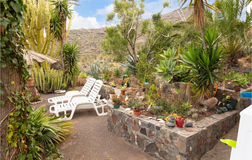 A garden outside 1 Bedroom Nice Home In Vallehermoso