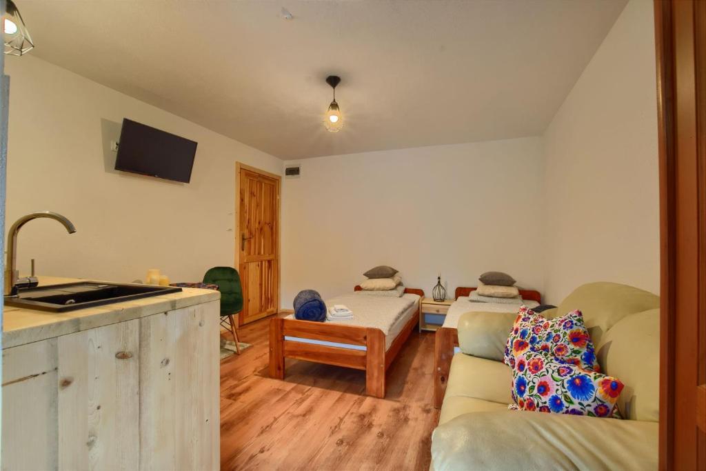 TV a/nebo společenská místnost v ubytování Apartamenty Soszów