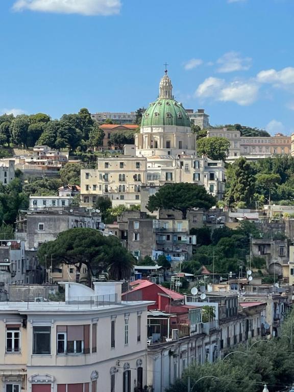 Domus Capodimonte - 8