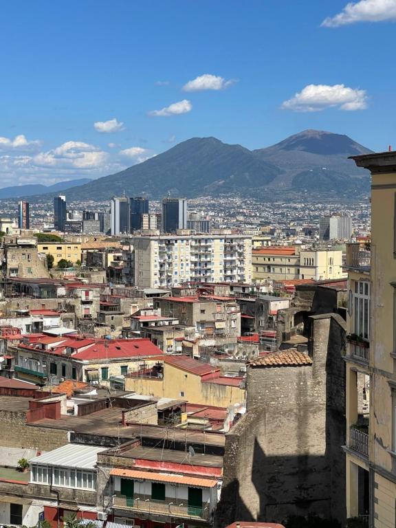 Domus Capodimonte - 11