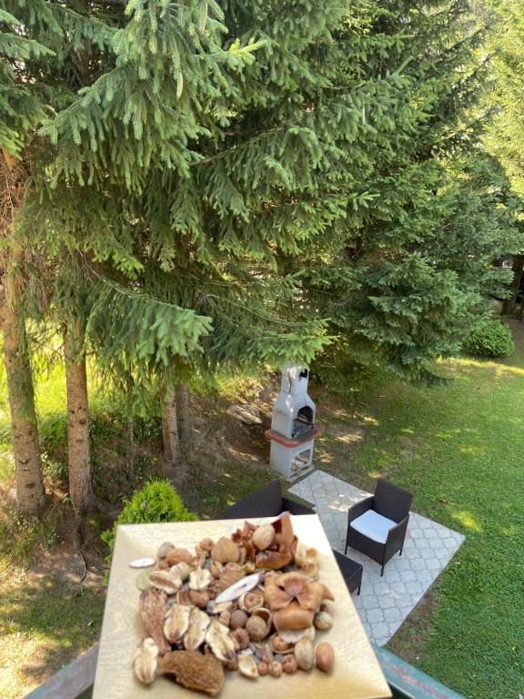 Apartments Radović - 15