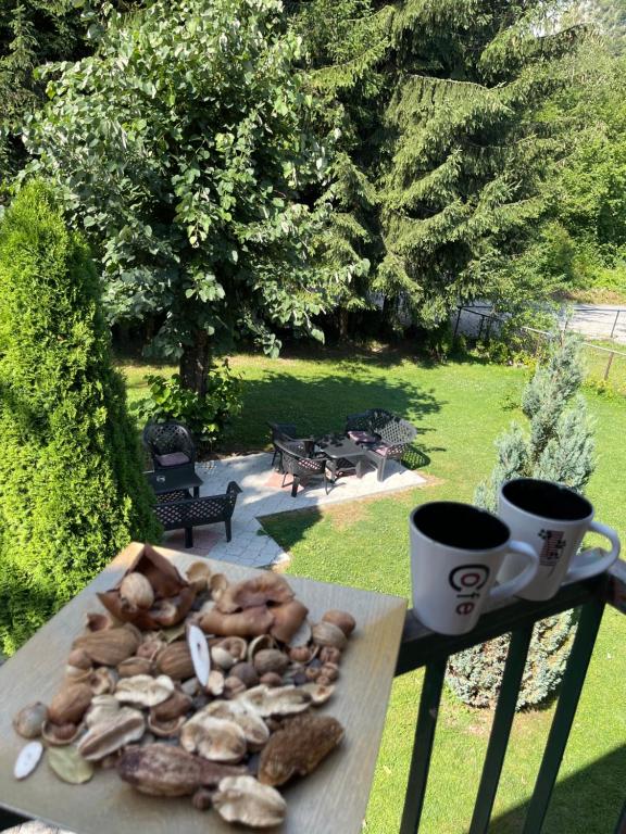 Apartments Radović - 16