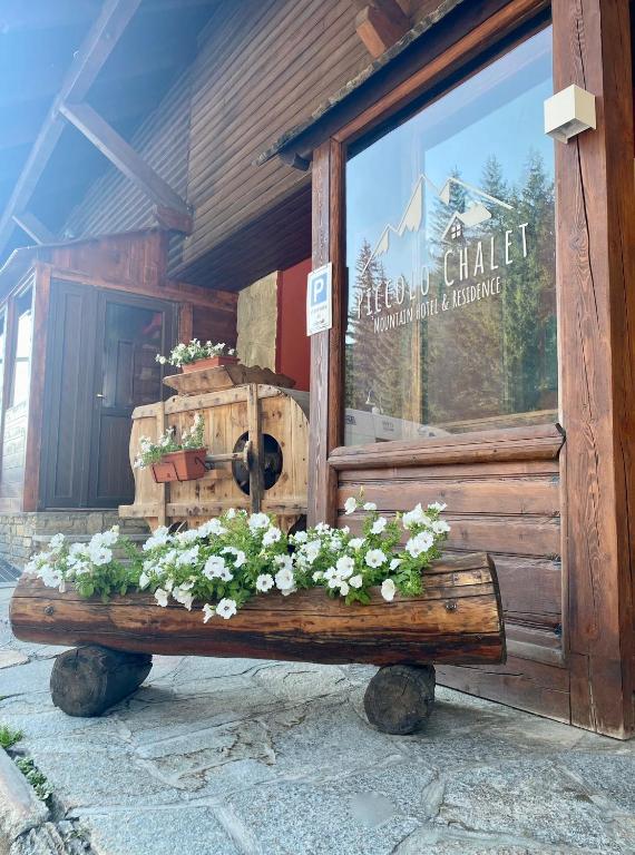 Zahrada ubytování Hotel Piccolo Chalet