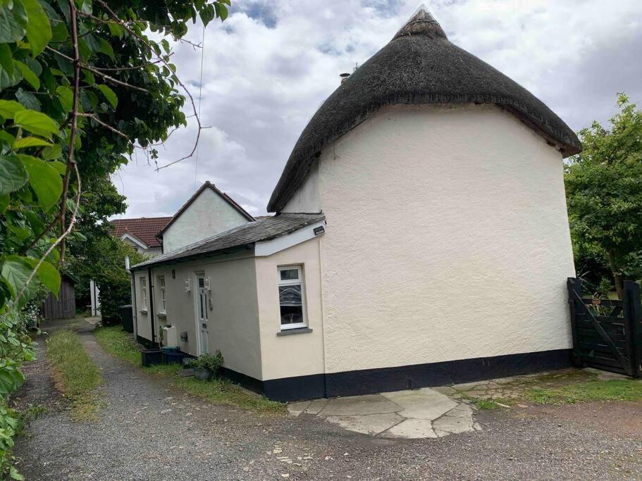 een klein wit gebouw met een rieten dak bij Forsythia cottage with surf and cycle hire in Wrafton