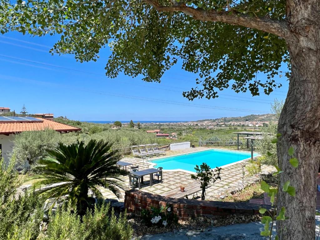 vista sulla piscina con albero di Villa Terreforti a San Pier Niceto