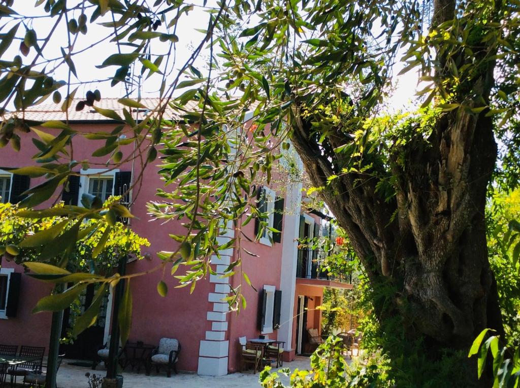 Dassia House
