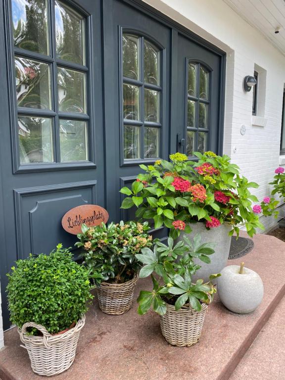 three potted plants sitting in front of a door at 38 Waldweg in Bendestorf