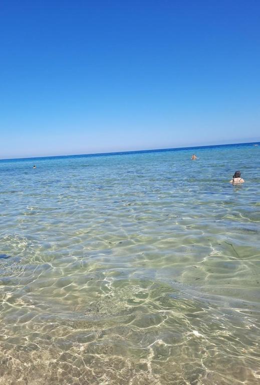 grupa ludzi pływających w oceanie w obiekcie L'Arco w Trapani